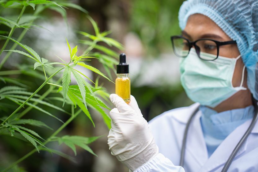 Spotlight On ASX-Listed Cannabis Companies - Vimarsana News