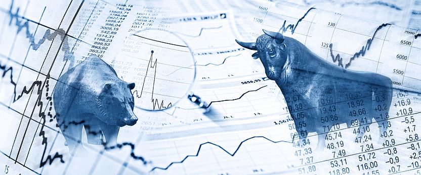 January In Review: Large Caps Back In The Lead - Vimarsana News