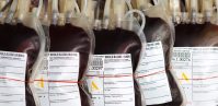 Group Of Human Blood Bags